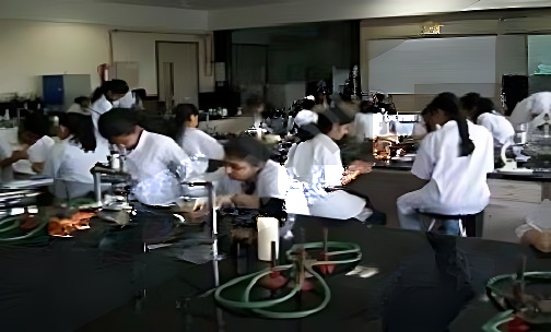 Mithibai College of Arts Chauhan Institute of Science And Amrutben Jivanlal College of Commerce And Economics — photo 4