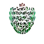 Modern Convent School logo