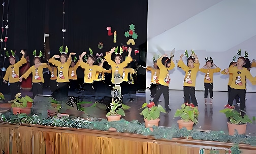 Mount Carmel Central School — photo 4