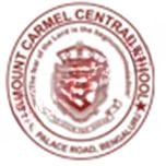 Mount Carmel Central School logo