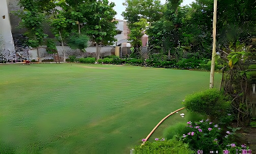 My Chhota School — photo 11