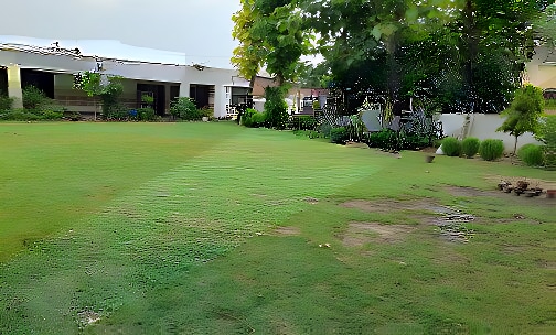 My Chhota School — photo 12