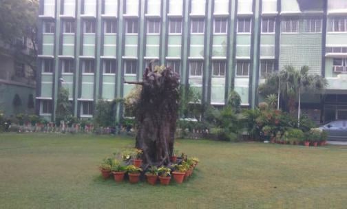 N.C. Jindal Public School — photo 6