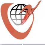 Nalapad Academy logo