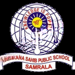 Nankana Sahib Public School logo
