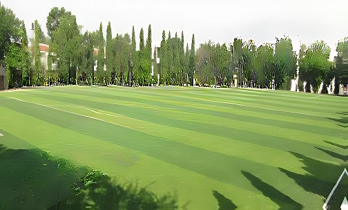 Nath Valley School — photo 2