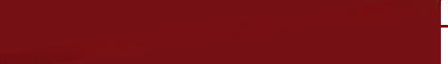 National Hill View Public School logo