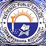 National Public School logo