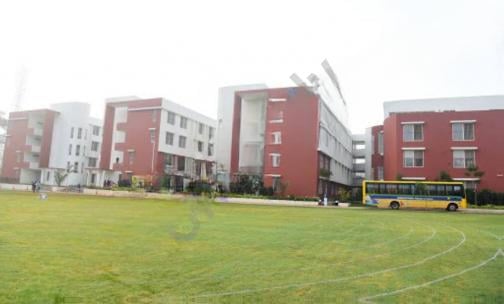 National Public School — photo 9