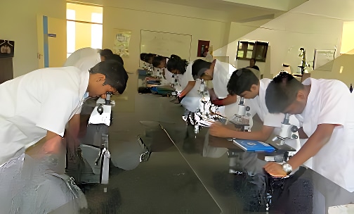National Public School — photo 9