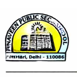 Naveen Public School logo