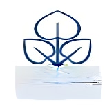 Navrachana Higher Secondary School logo