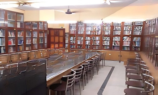 NES High School — photo 5