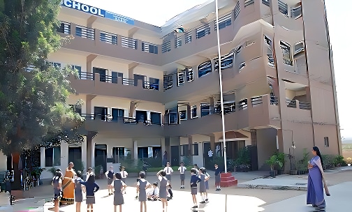 New Millennium School — photo 1