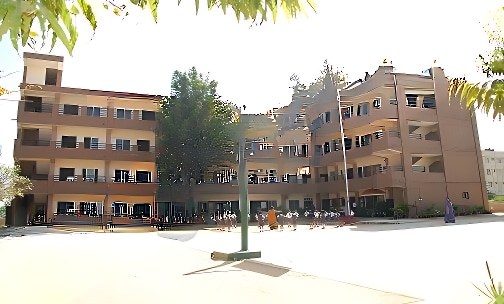 New Millennium School — photo 2
