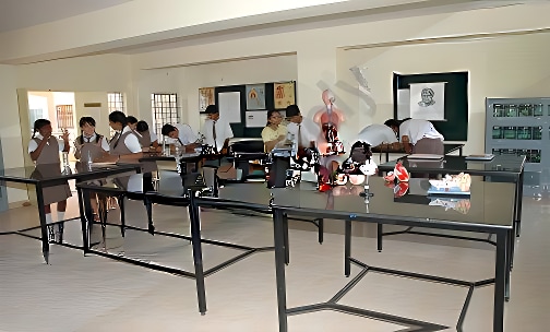 New Millennium School — photo 5