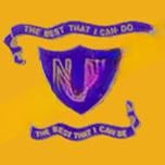 New Millennium School logo