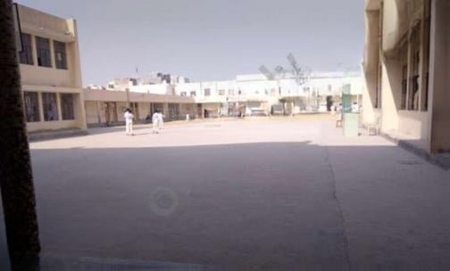 North-Ex Public School — photo 2
