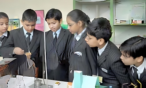North-Ex Public School — photo 6