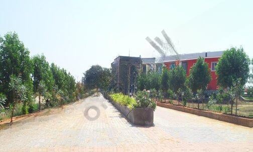 Olympia International School — photo 3