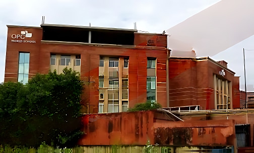 OPG World School — photo 2