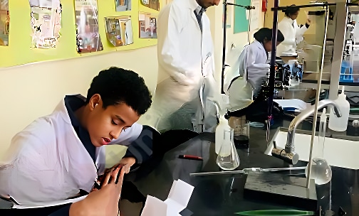 OPG World School — photo 12
