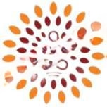 Orchids Central School Of Excellence logo