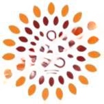 Orchids Central School of Excellence logo