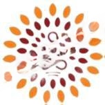Orchids Central School Of Excellence logo