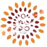 Orchids Central School of Excellence logo