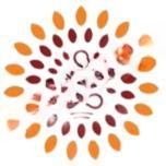 Orchids Central School Of Excellence logo