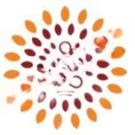 Orchids Central School Of Excellence logo