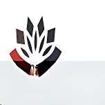 Orleans -The School logo