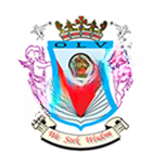 Our Lady Of Vailankanni School And Junior College logo