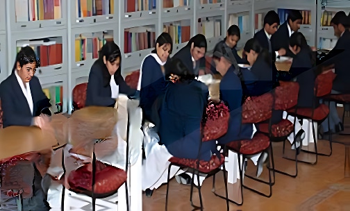 Pandit Mohan Lal Sanatan Dharama Public School — photo 3