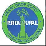 Pearl Drop School logo