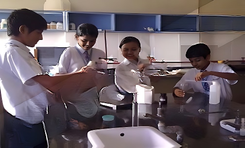 Pinnacle High International School — photo 11