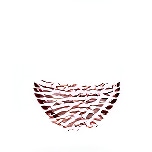 Pns International School logo