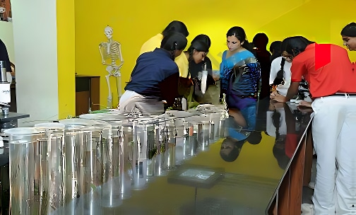 Presidency School — photo 13
