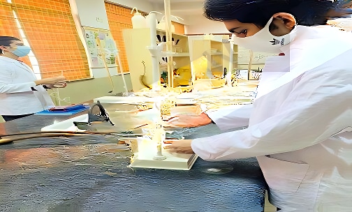 Presidium School — photo 4