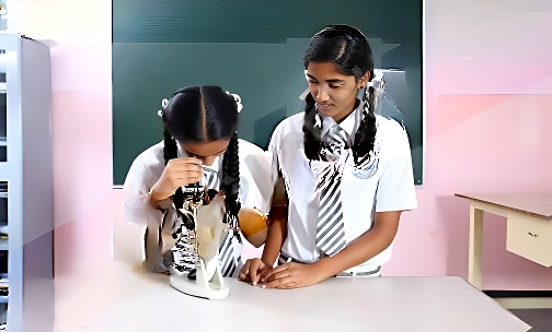 Prestige International School — photo 4