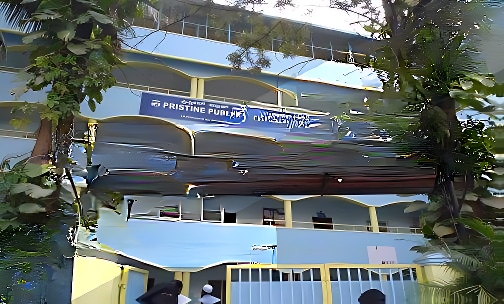 Pristine Public School — photo 1