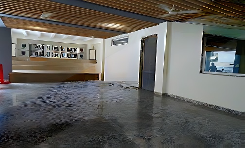 Prudence Junior — photo 6