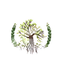 Rabindranath World School logo
