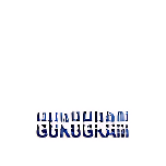 RPS International School logo