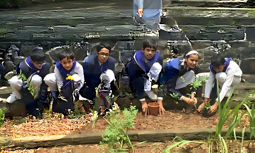 Ryan International School — photo 16