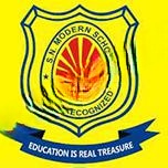 S.N. Modern School logo