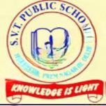 S.V.T. Public School logo