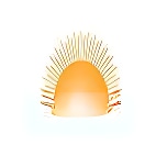 Salwan Boys Senior Secondary School logo