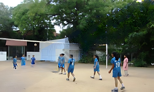Salwan Girls' Senior Secondary School — photo 2